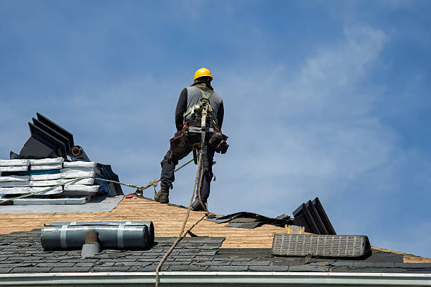 Professional Roof Replacement technician working in Bowdon, ND
